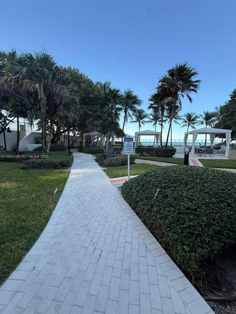 a view of a park with plants