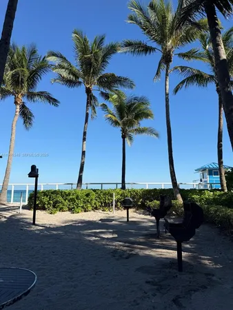 a view of a palm tree in the middle of a yard