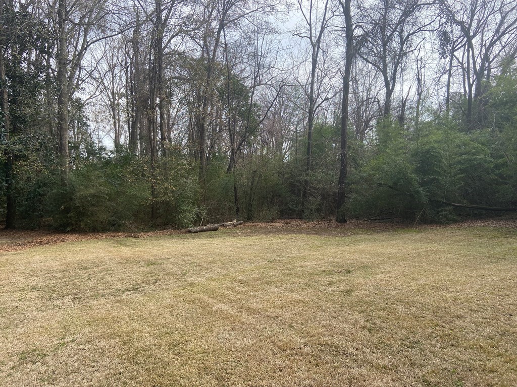 7626 Fortson Road Columbus, GA 31909 - Photo 5 of 11