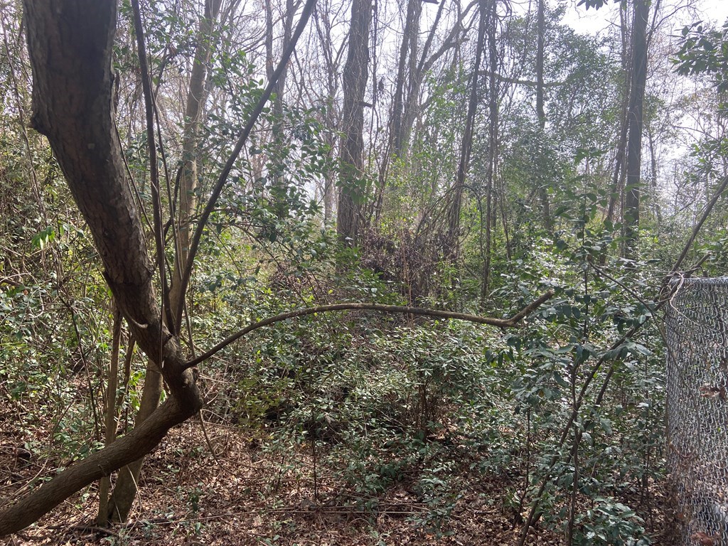 7626 Fortson Road Columbus, GA 31909 - Photo 7 of 11