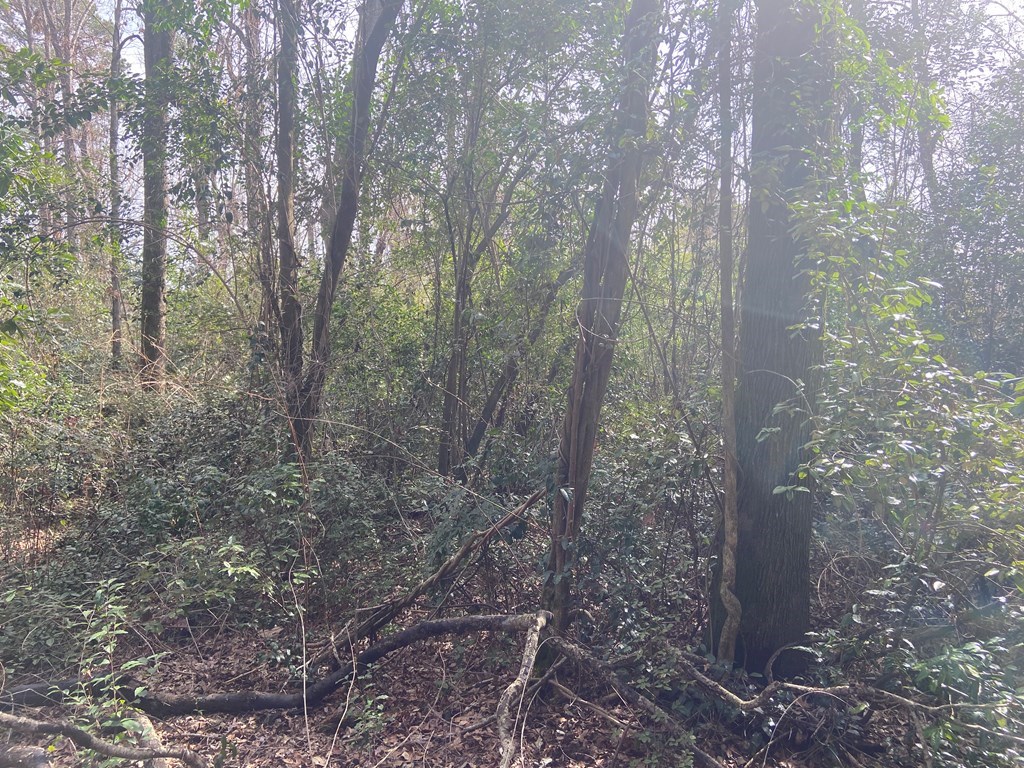 7626 Fortson Road Columbus, GA 31909 - Photo 9 of 11