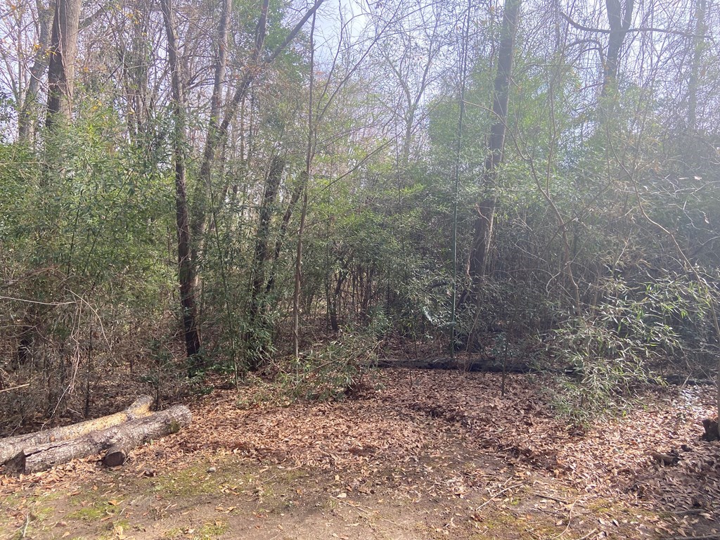 7626 Fortson Road Columbus, GA 31909 - Photo 10 of 11