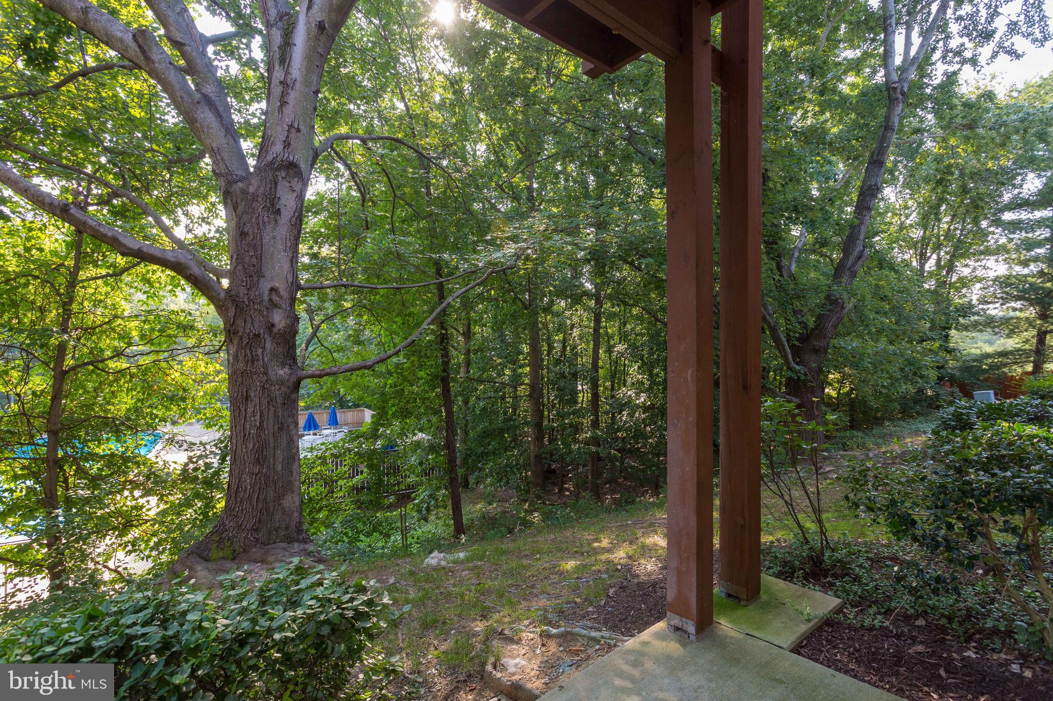 7705 Lexton Place, Unit 35 Springfield, VA 22152 - Photo 40 of 40 Gallery Image 40