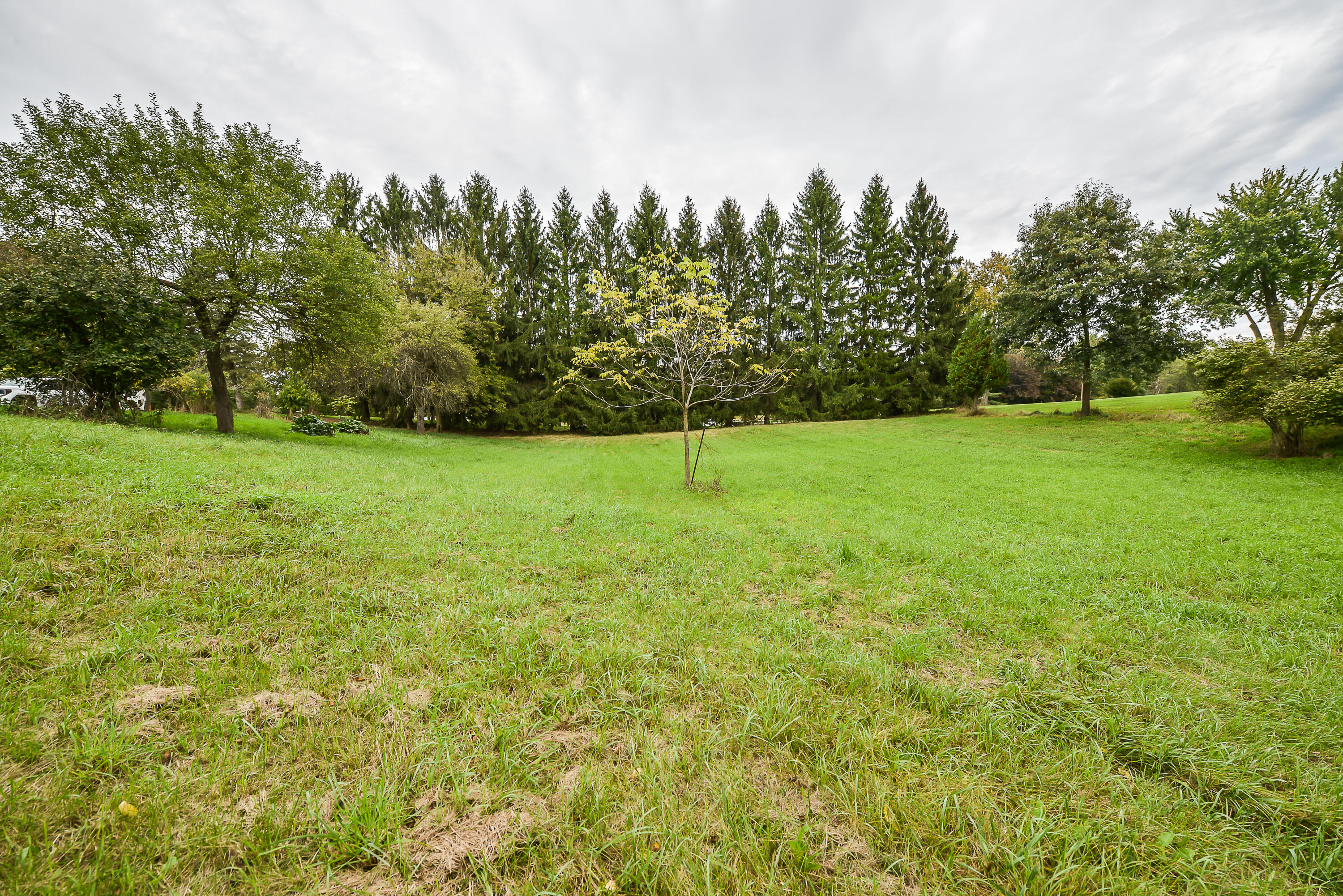 8905 Dexter-Chelsea Road Dexter, MI 48130 - Photo 3 of 11 DSC_6562