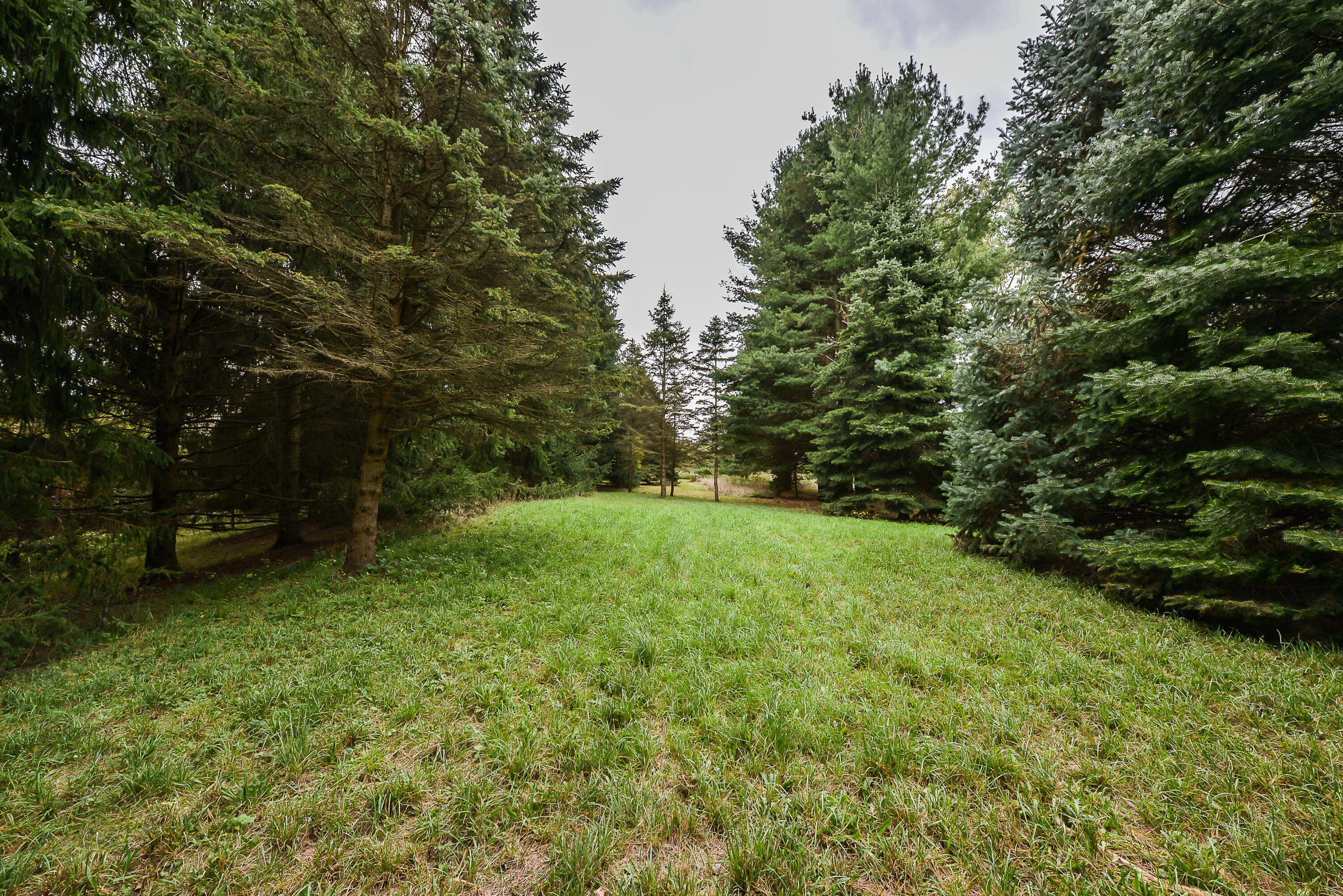 8905 Dexter-Chelsea Road Dexter, MI 48130 - Photo 4 of 11 DSC_6569