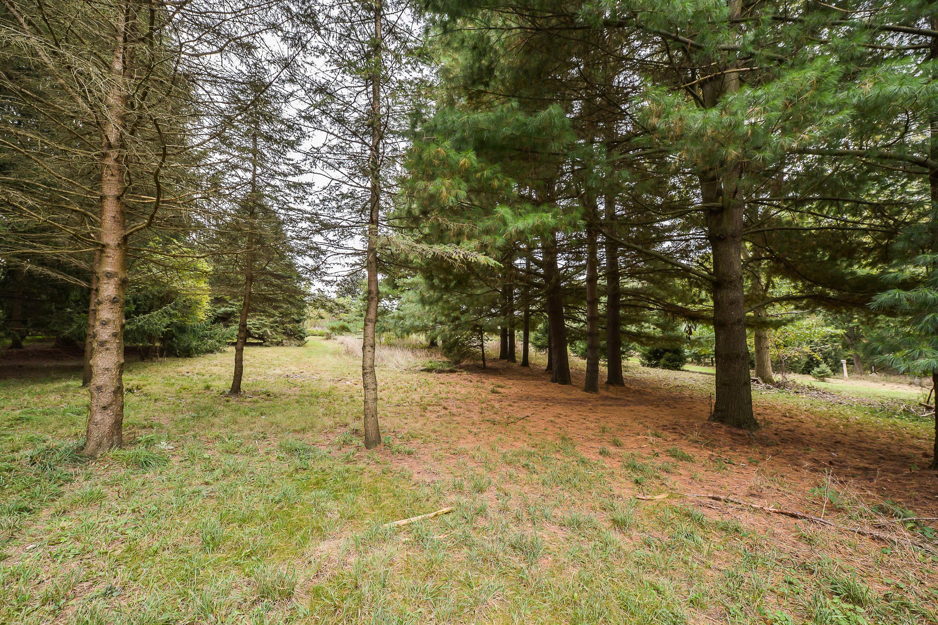 8905 Dexter-Chelsea Road Dexter, MI 48130 - Photo 5 of 11 DSC_6573