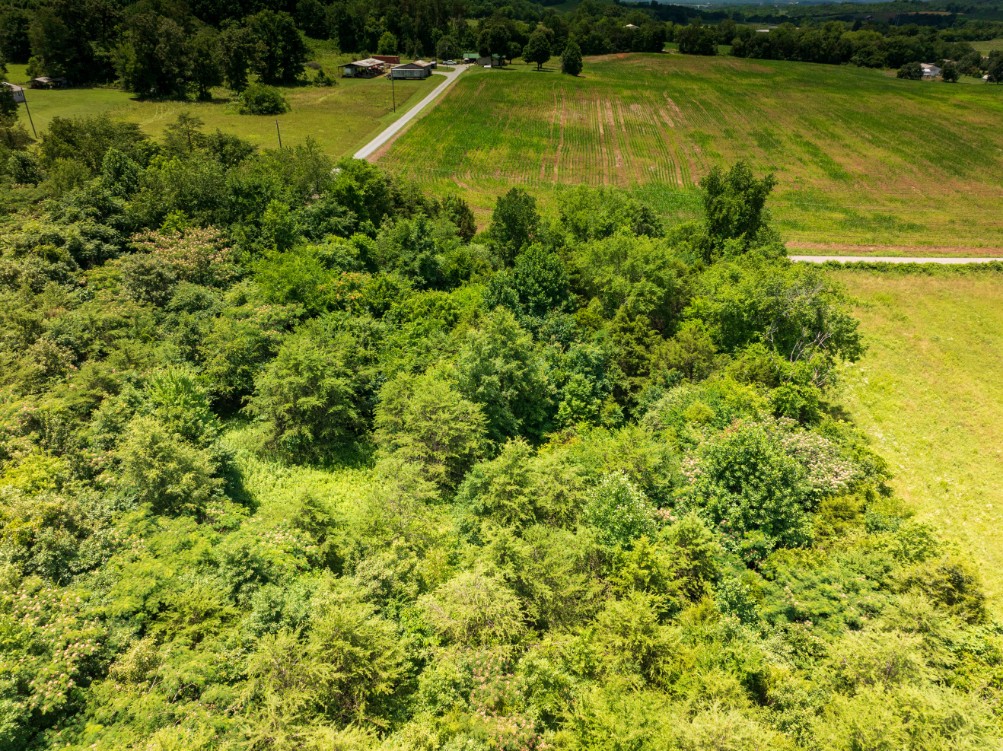 0 McGhee Road Greenback, TN 37742 - Photo 23 of 40