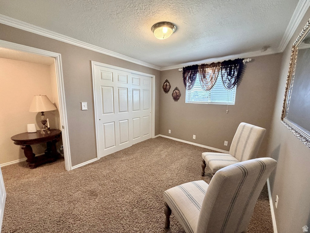 12080 Mill Ridge Circle Sandy, UT 84094 - Photo 27 of 56 Carpeted room with a double-door closet featuring white panel doors