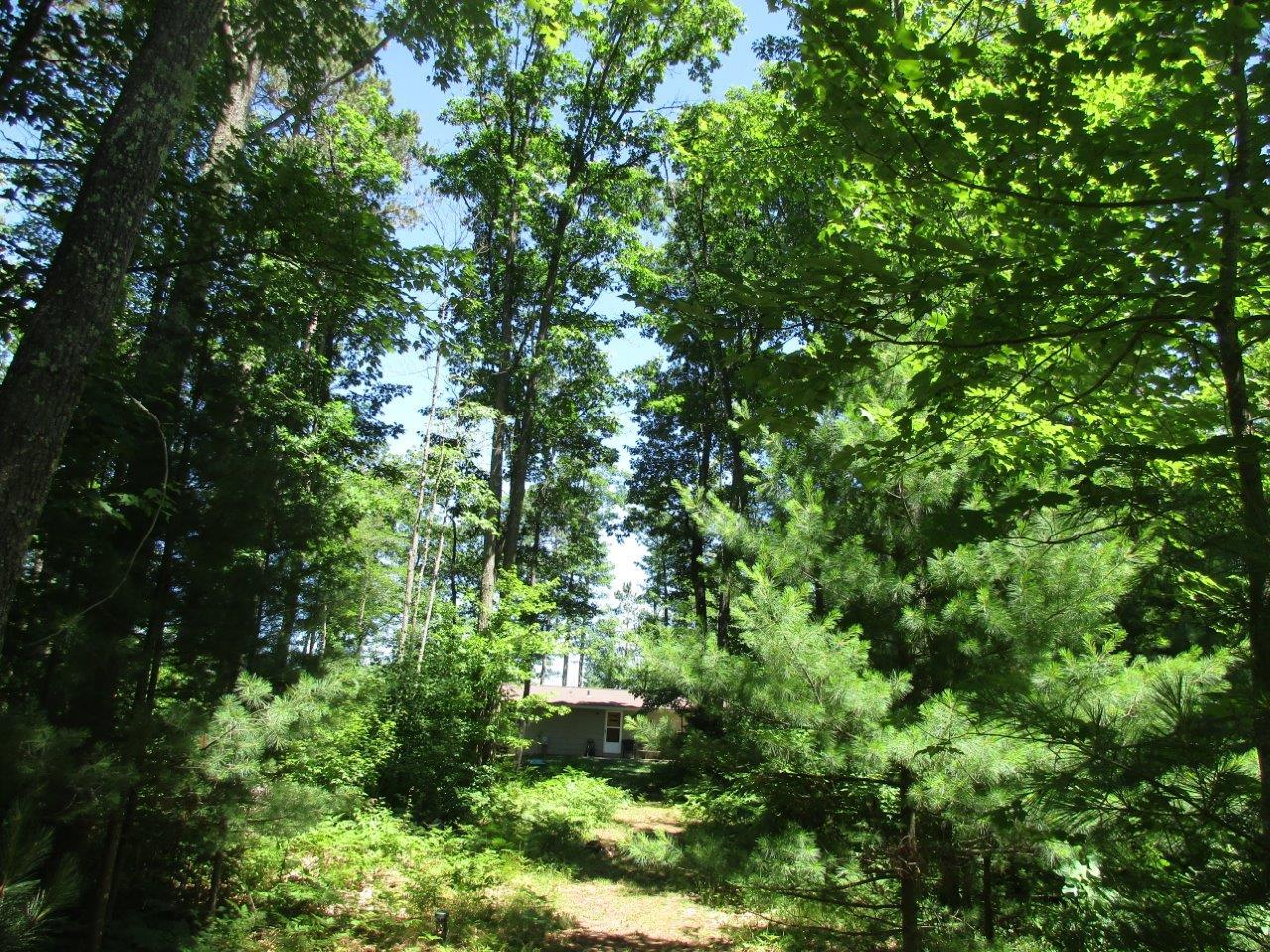 12816 Red Maple Road Manitowish Waters, WI 54545 - Photo 18 of 35 Gallery Image 18
