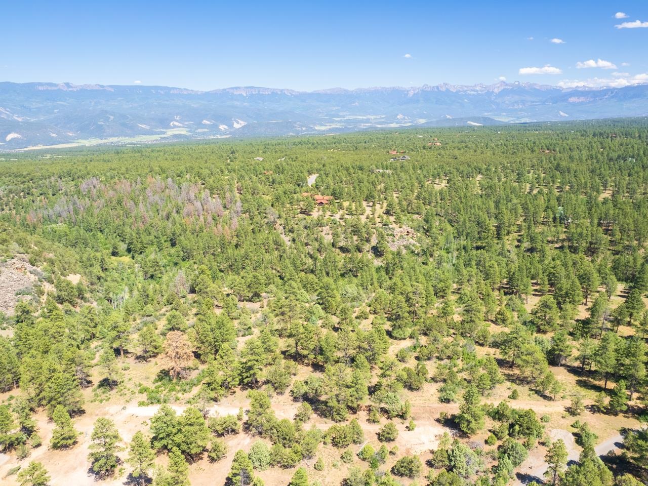 6 Big Canyon Point Ridgway, CO 81432 - Photo 3 of 15 Gallery Image 3