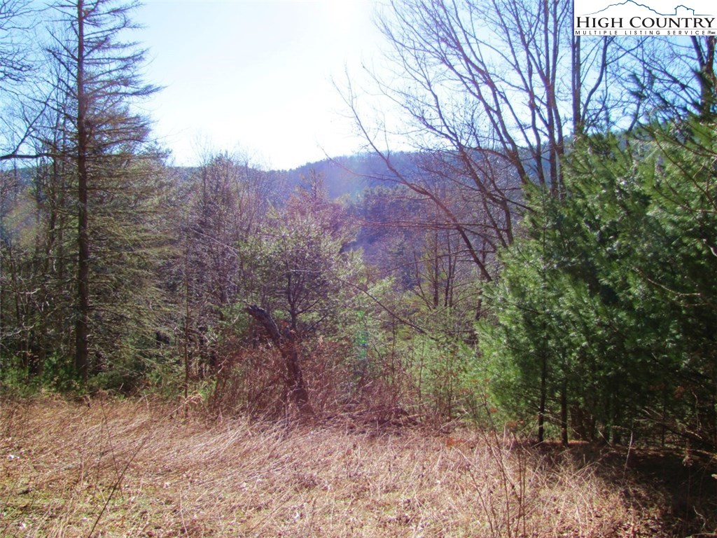 Tdb Tdb Hidden Spring Extension West Jefferson, NC 28694 - Photo 1 of 12 Gallery Image 1