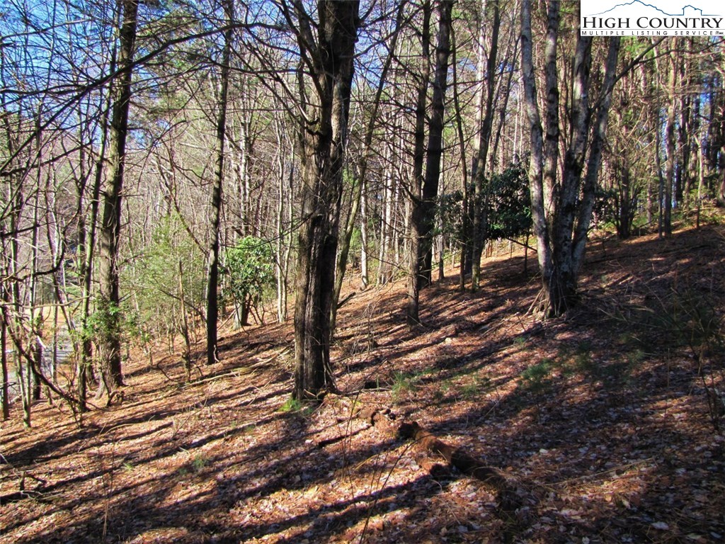 Tdb Tdb Hidden Spring Extension West Jefferson, NC 28694 - Photo 11 of 12 Gallery Image 11