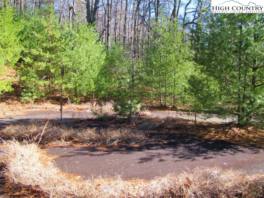Tdb Tdb Hidden Spring Extension West Jefferson, NC 28694 - Photo 2 of 12 Gallery Image 2