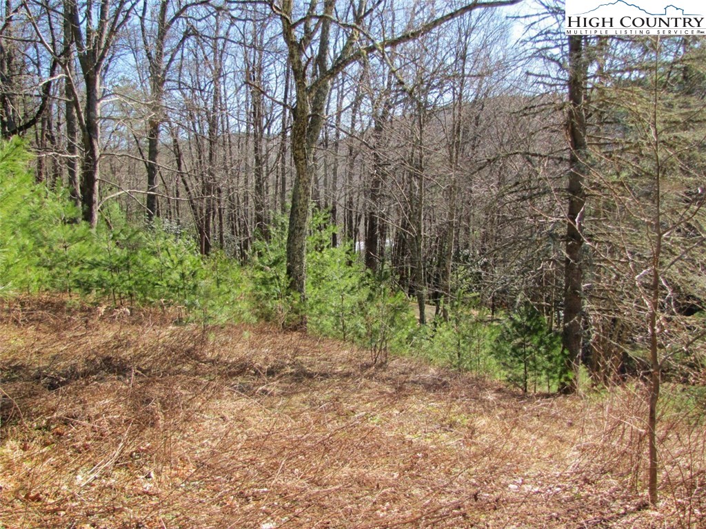 Tdb Tdb Hidden Spring Extension West Jefferson, NC 28694 - Photo 3 of 12 Gallery Image 3