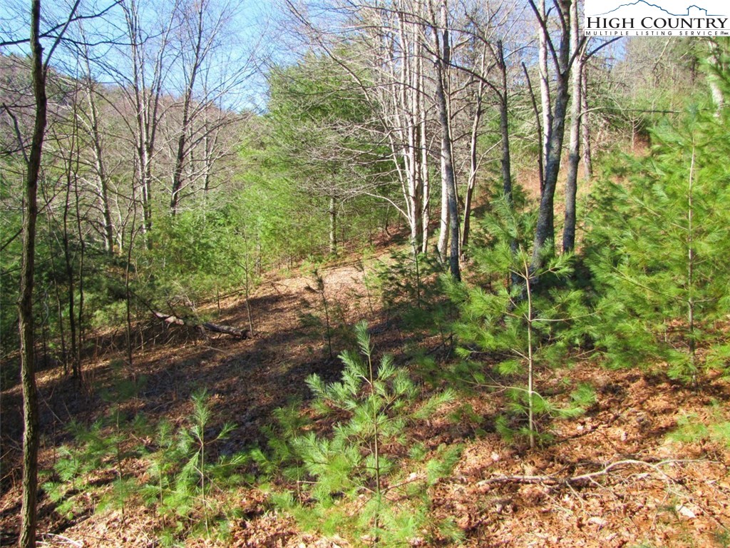 Tdb Tdb Hidden Spring Extension West Jefferson, NC 28694 - Photo 4 of 12 Gallery Image 4