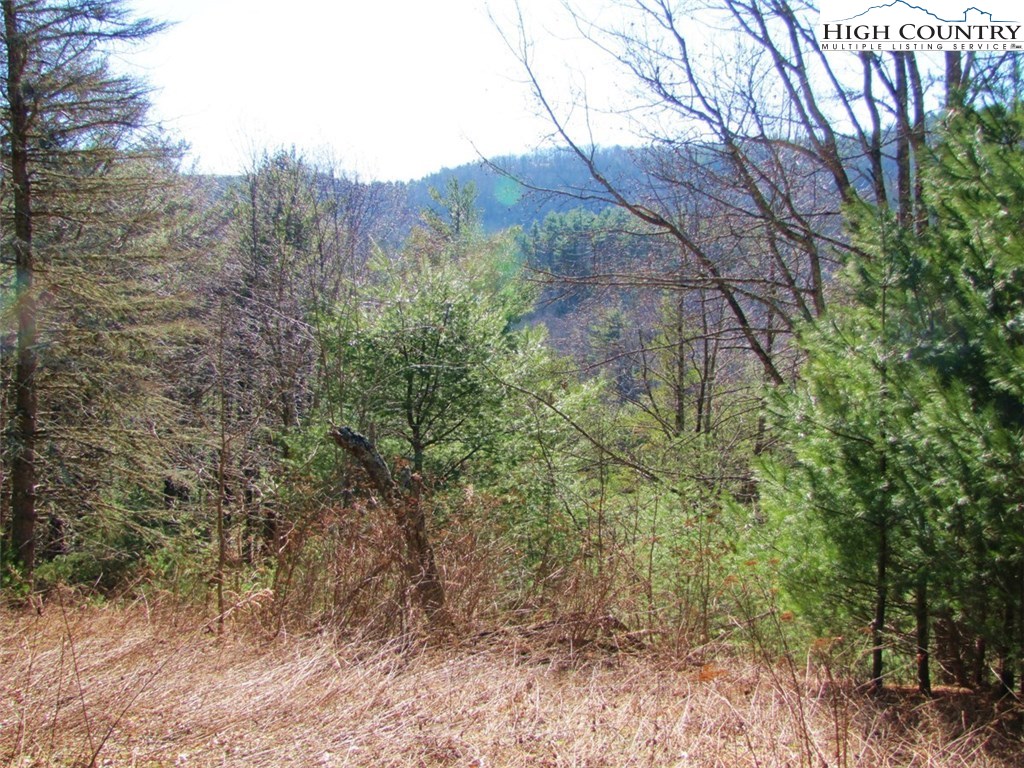 Tdb Tdb Hidden Spring Extension West Jefferson, NC 28694 - Photo 5 of 12 Gallery Image 5
