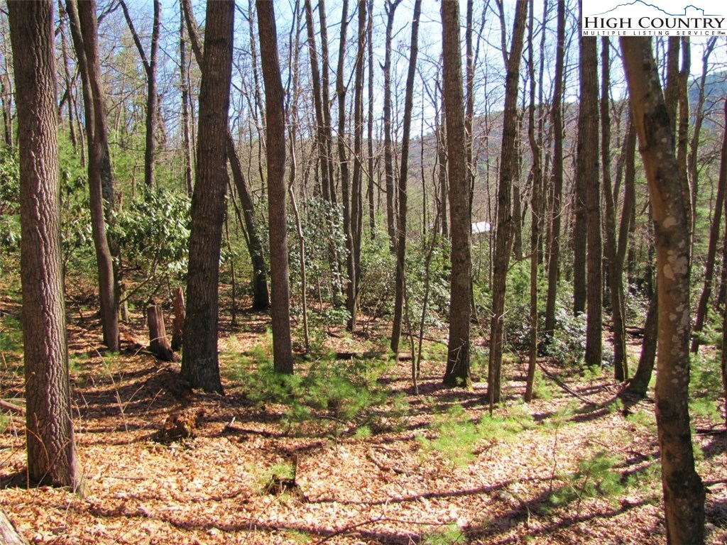 Tdb Tdb Hidden Spring Extension West Jefferson, NC 28694 - Photo 6 of 12 Gallery Image 6