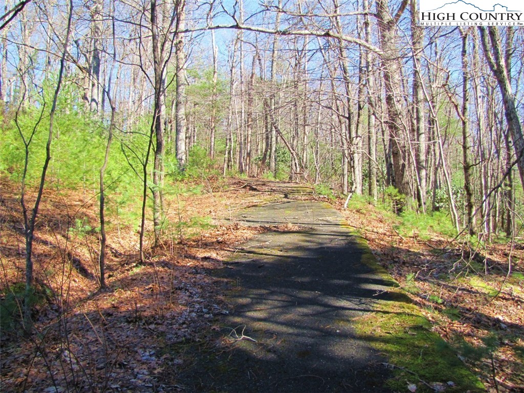 Tdb Tdb Hidden Spring Extension West Jefferson, NC 28694 - Photo 7 of 12 Gallery Image 7