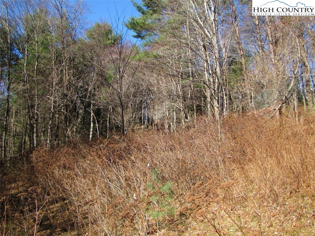 Tdb Tdb Hidden Spring Extension West Jefferson, NC 28694 - Photo 10 of 12 Gallery Image 10