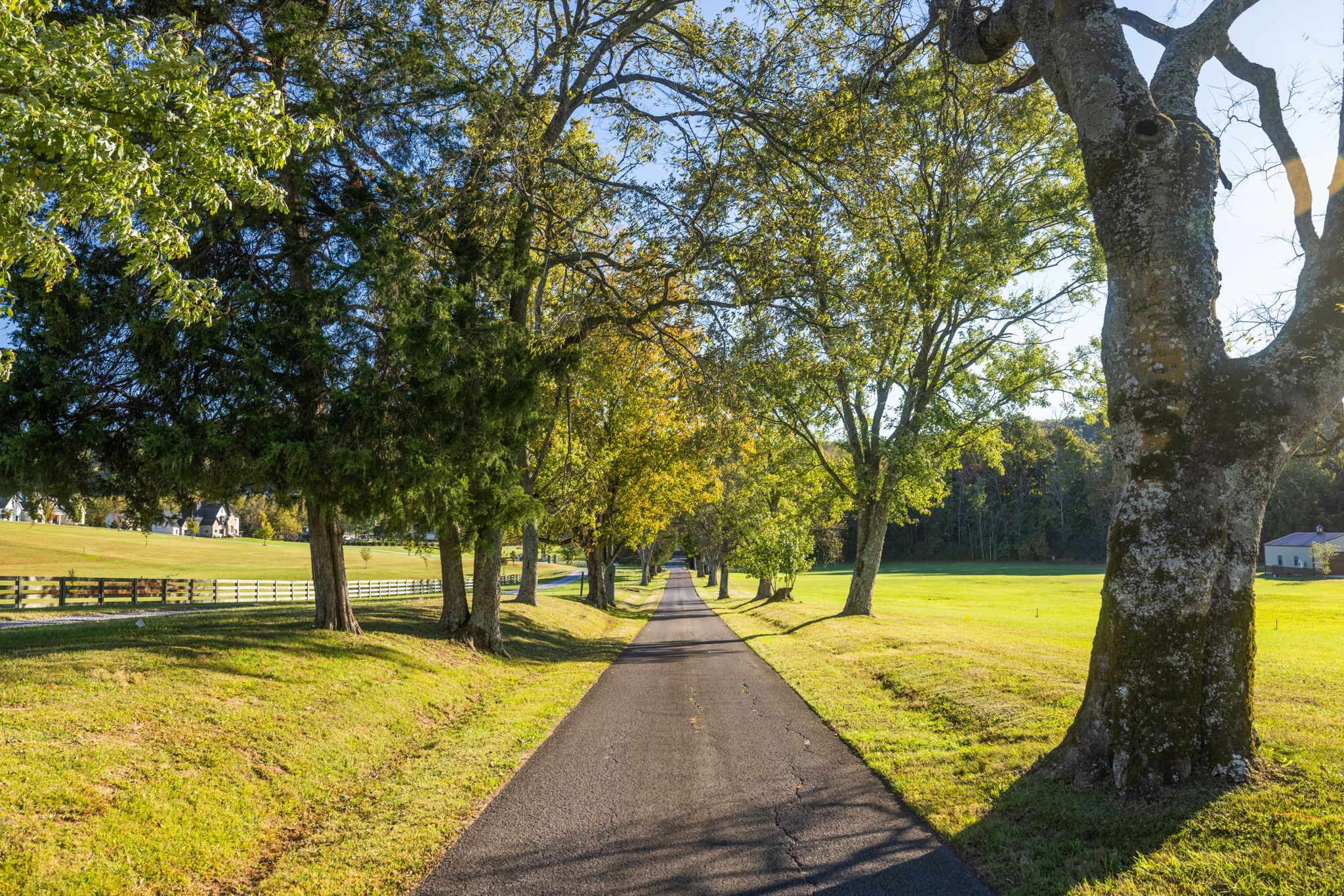 a view of swimming pool with large trees and seating area