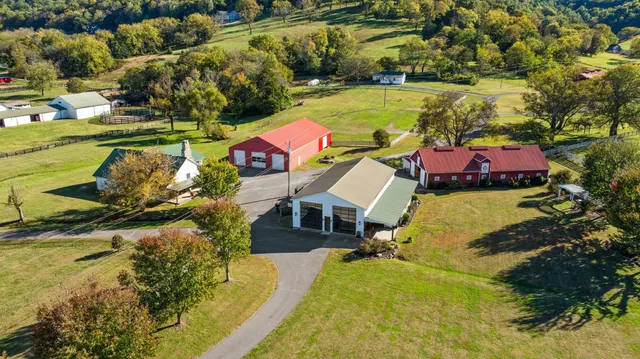 a view of a dining area with furniture and a potted plant