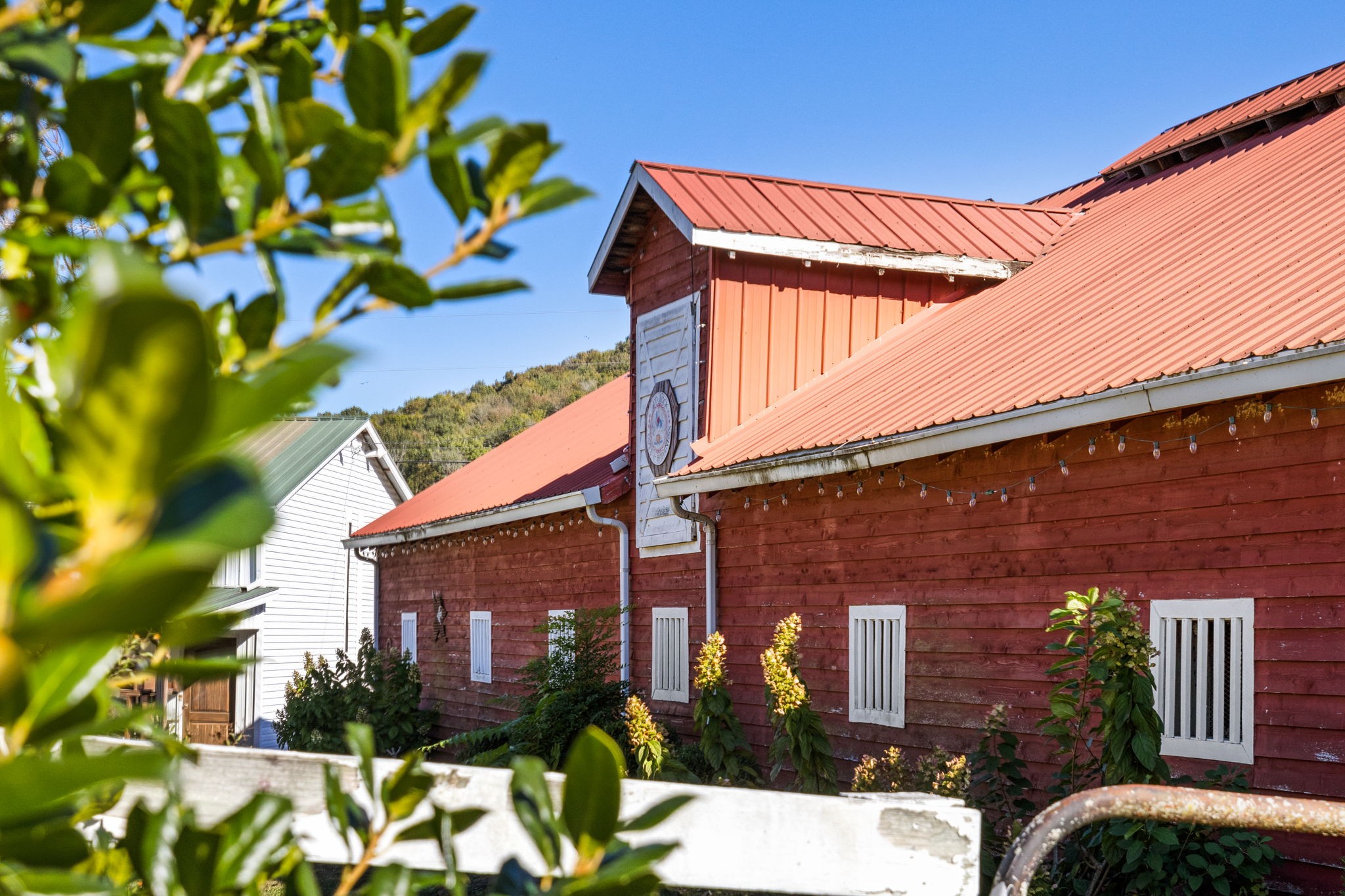 2133 Allisona Road Eagleville, TN 37060 - Photo 53 of 100