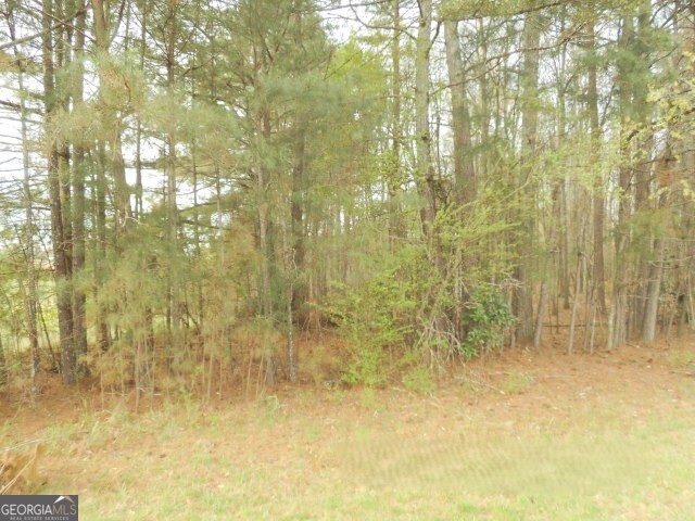 1-ac Smith Loop Demorest, GA 30535 - Photo 2 of 7 a bathroom with shower