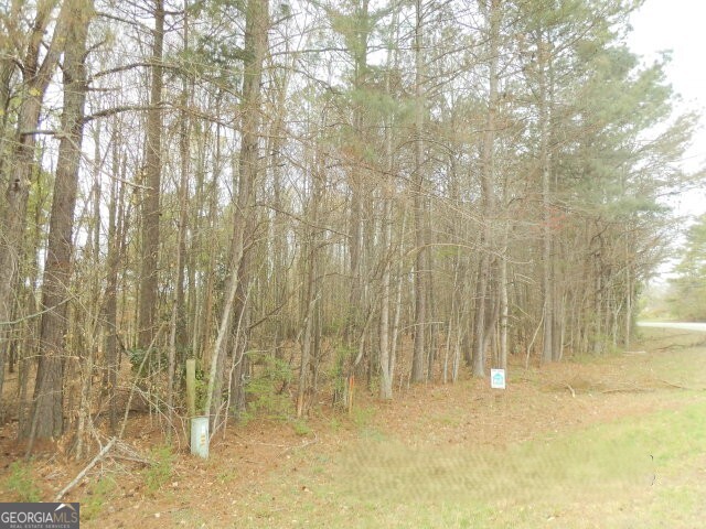 1-ac Smith Loop Demorest, GA 30535 - Photo 4 of 7