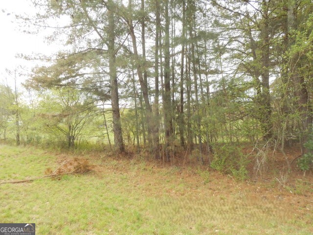 1-ac Smith Loop Demorest, GA 30535 - Photo 6 of 7