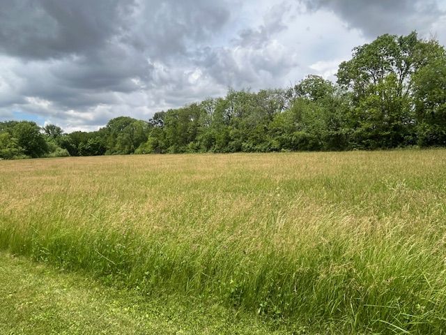 1537 Harmon Road Dixon, IL 61021 - Photo 54 of 69 a view of an ocean from a yard