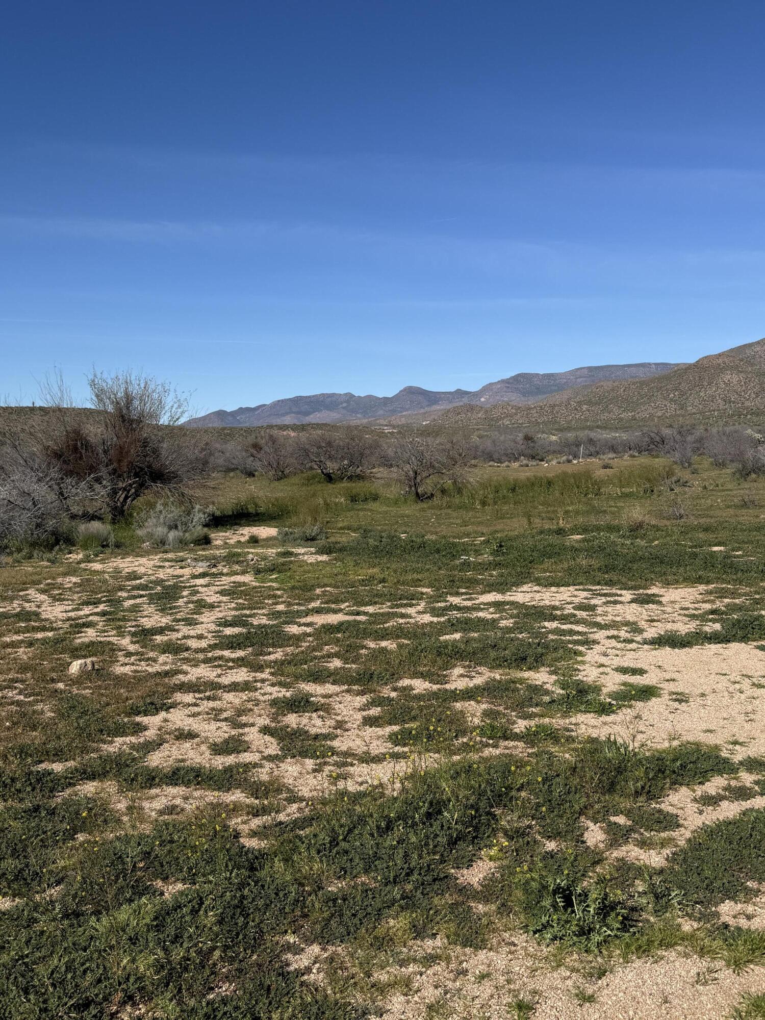 79 C Bouquet Ranch Road Tonto Basin, AZ 85553 - Photo 2 of 4