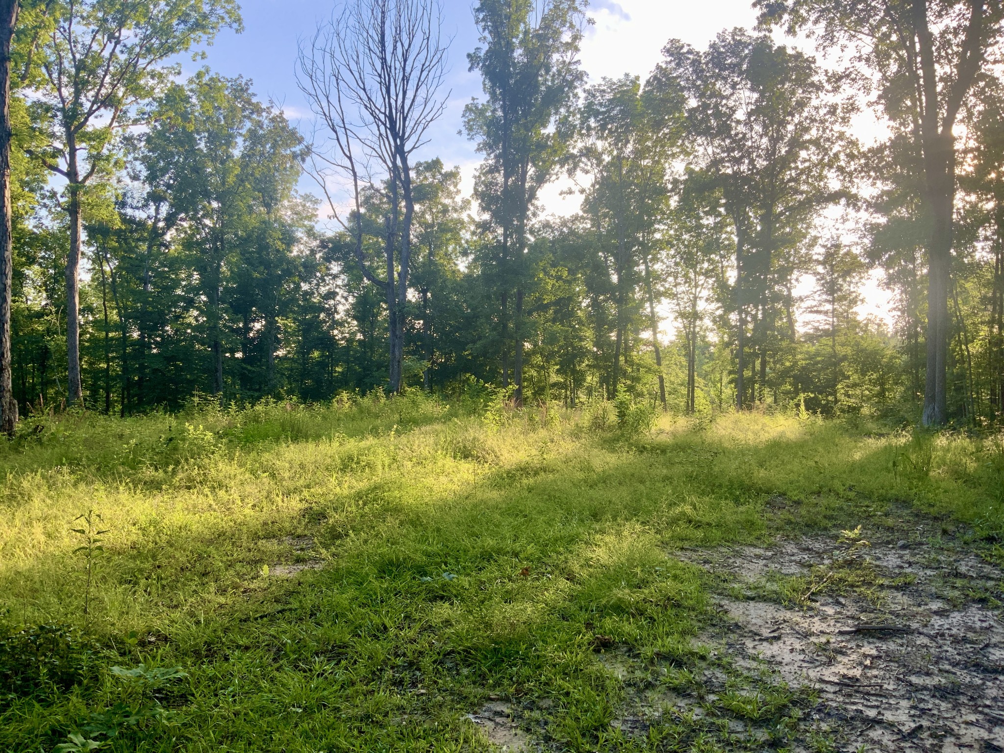 0 Wildlife Road Dover, TN 37058 - Photo 16 of 26 a view of outdoor space and yard