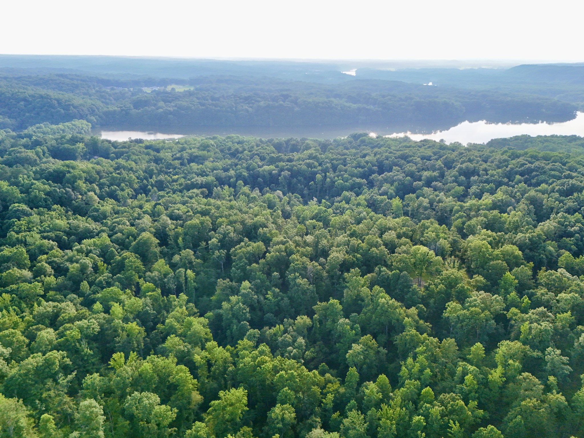 0 Wildlife Road Dover, TN 37058 - Photo 18 of 26 an aerial view of a house with a yard and mountain view in back