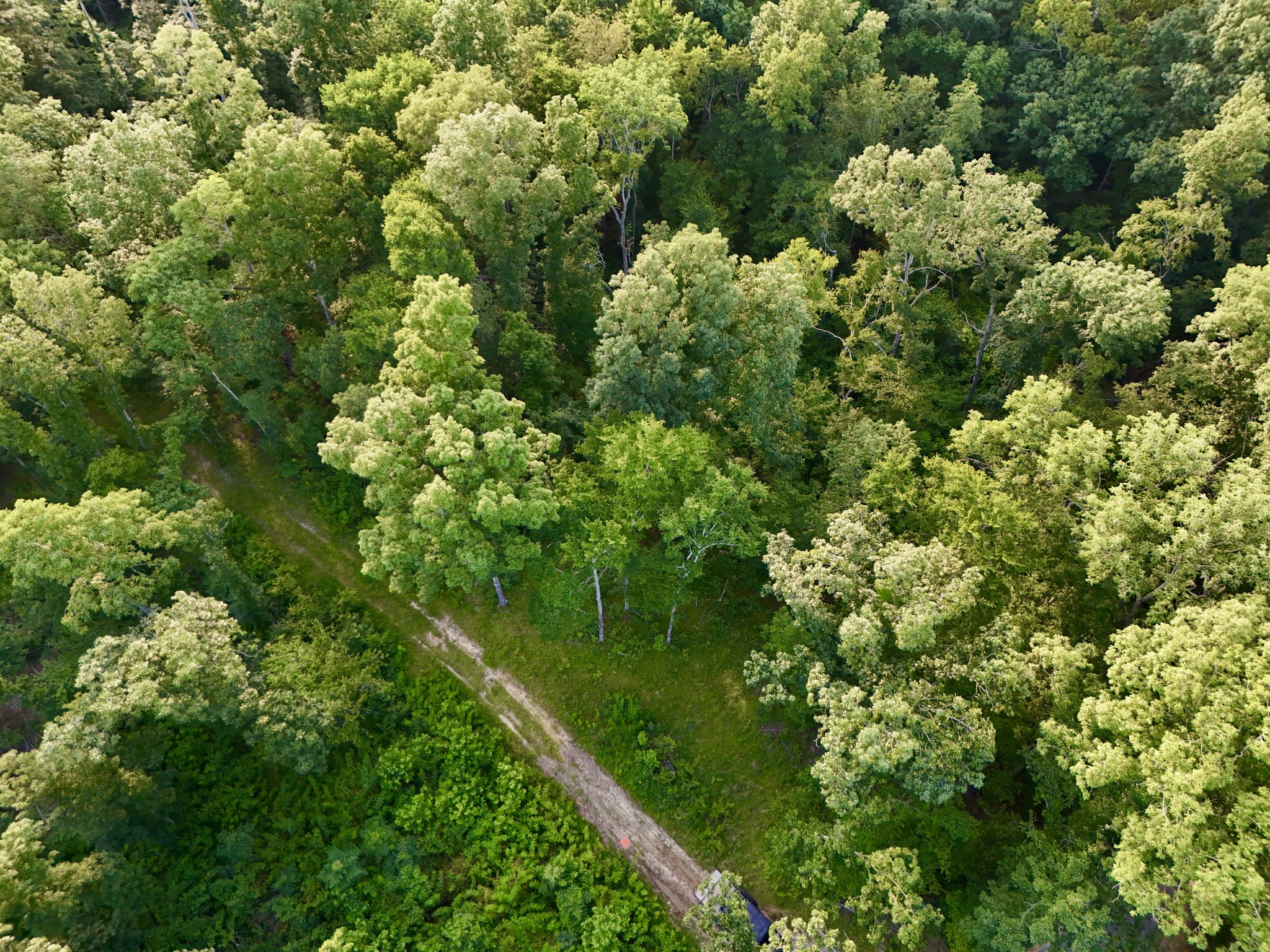 0 Wildlife Road Dover, TN 37058 - Photo 22 of 26 a view of a garden with a plants