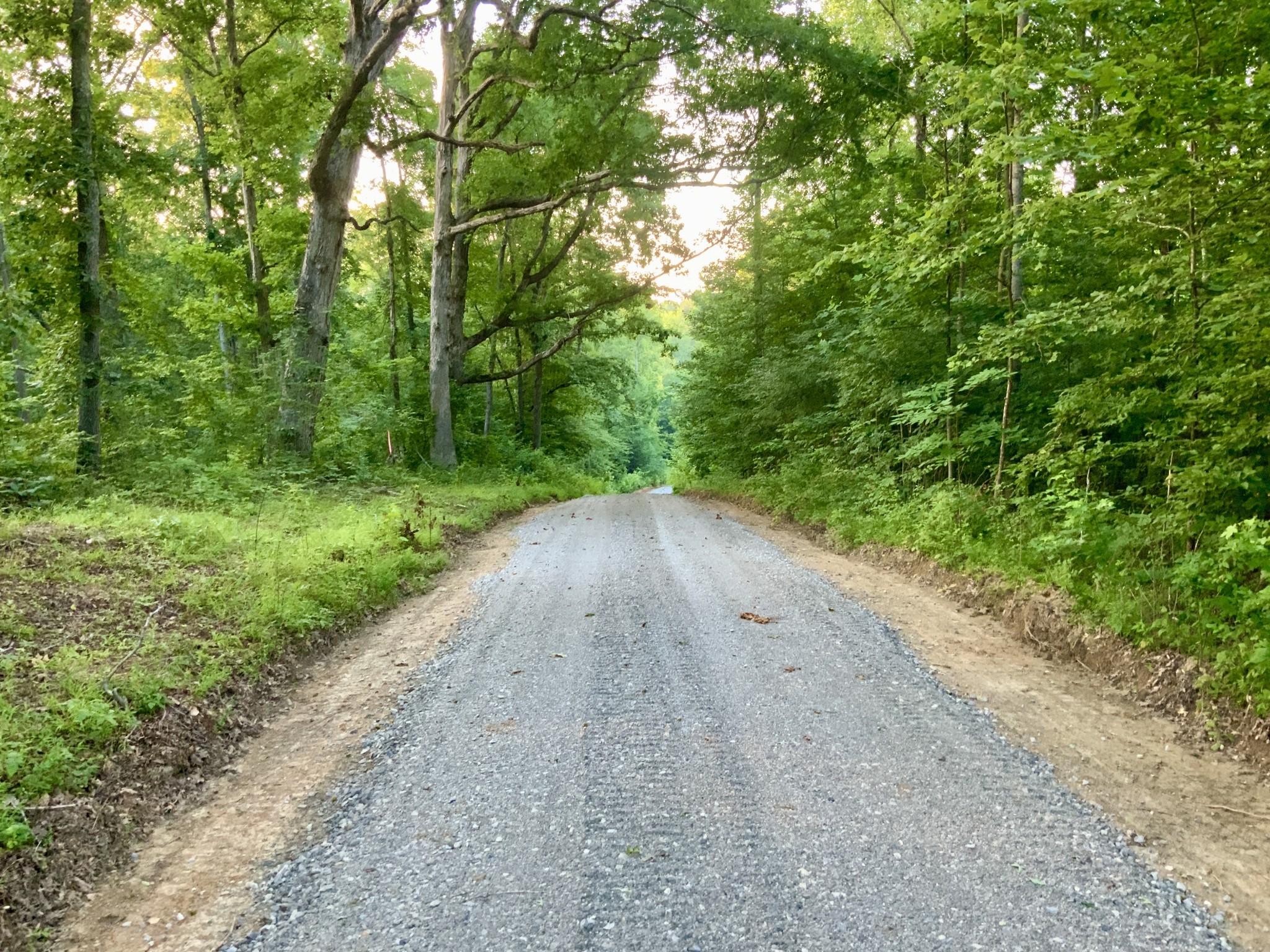 0 Wildlife Road Dover, TN 37058 - Photo 6 of 26 a view of a backyard with plants and large trees