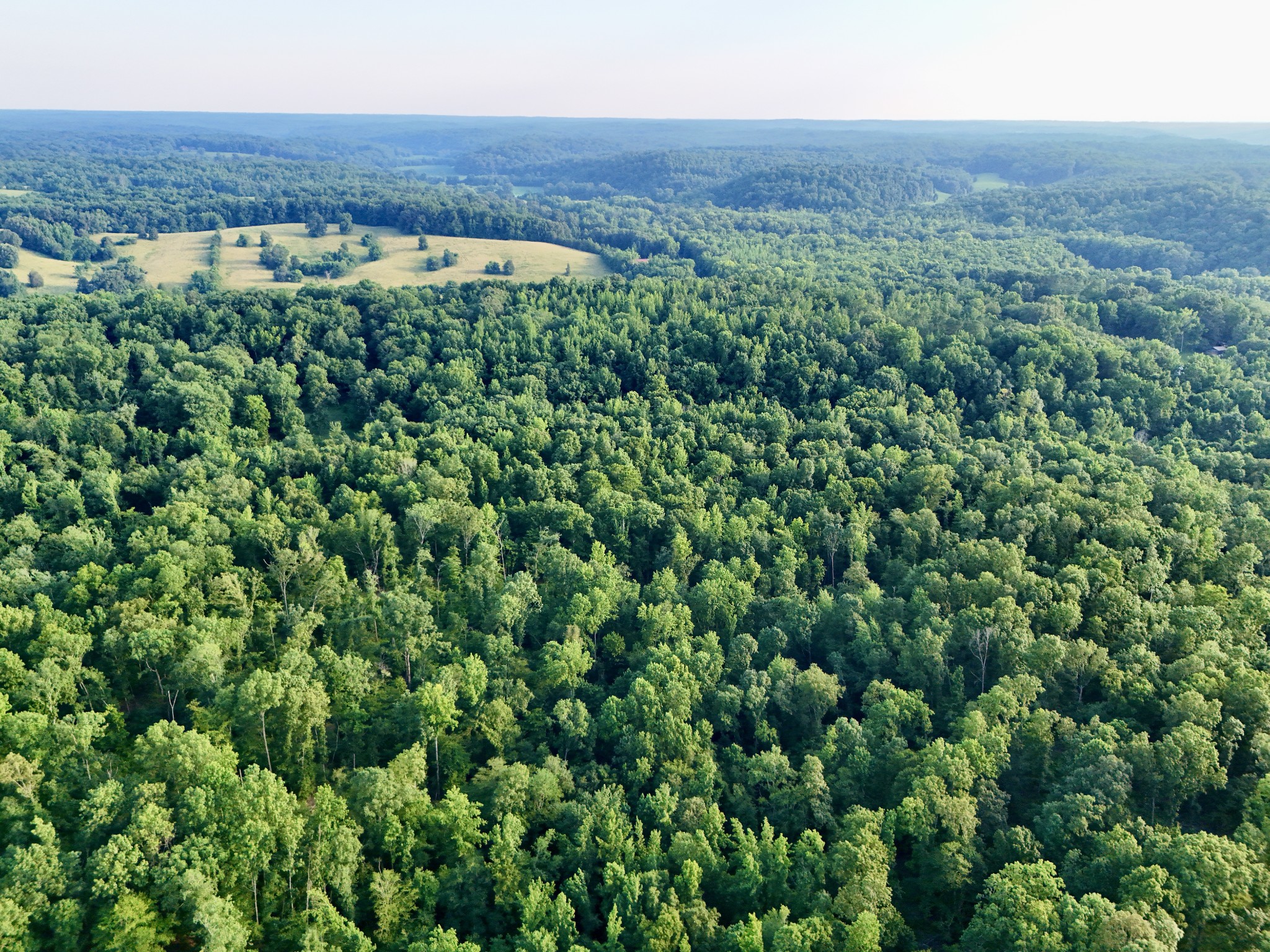 0 Wildlife Road Dover, TN 37058 - Photo 8 of 26 a view of a bunch of trees and bushes