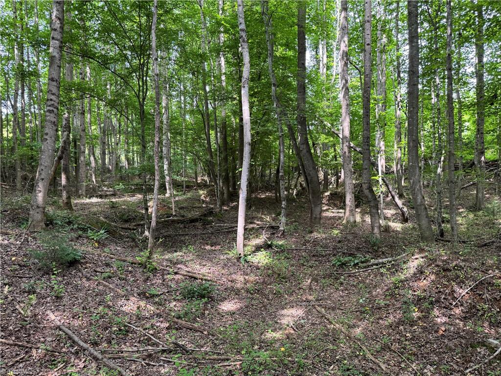 429 Wayne Marshall Road Elkin, NC 28621 - Photo 18 of 19