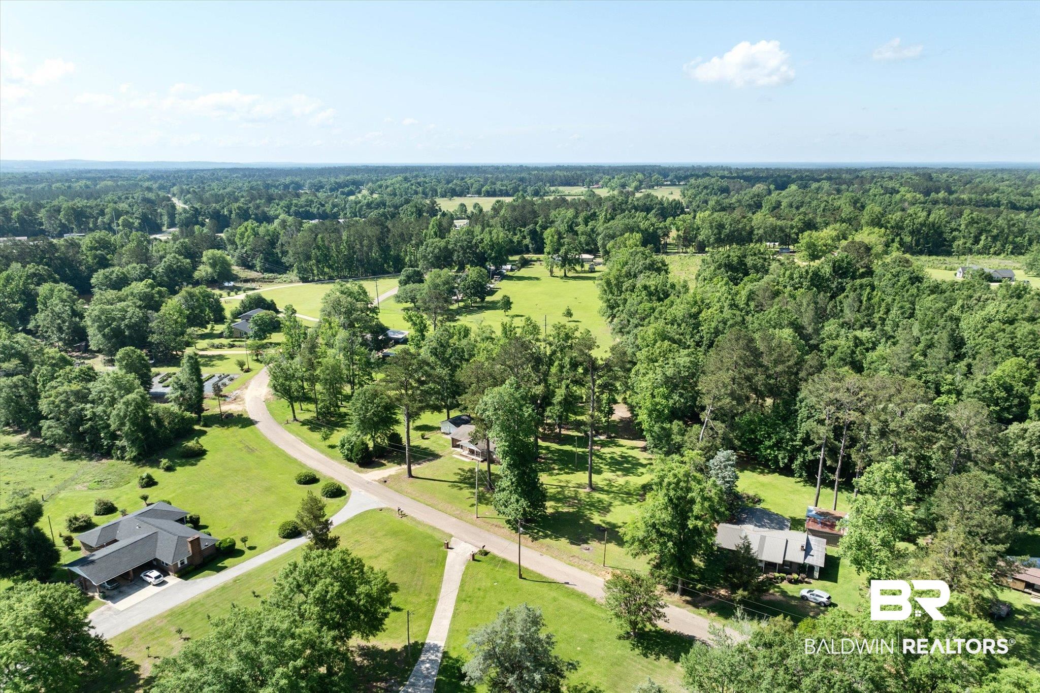 427 Upper Ferry Road Leroy, AL 36548 - Photo 34 of 37 Bird's eye view of a heavily wooded area
