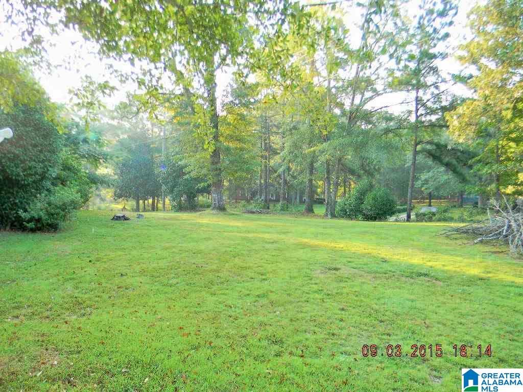 252 County Road 68 Clanton, AL 35046 - Photo 10 of 11