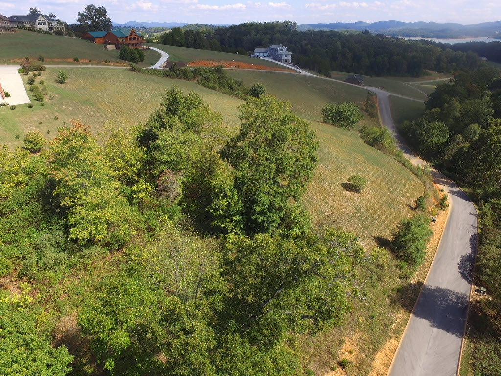 Lot 15 Aidans Trail, Unit 15 Rutledge, TN 37861 - Photo 3 of 19 Photo 3