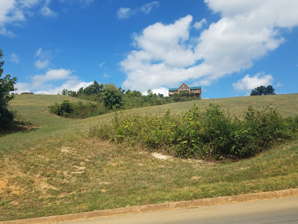 Lot 15 Aidans Trail, Unit 15 Rutledge, TN 37861 - Photo 8 of 19 Photo 8