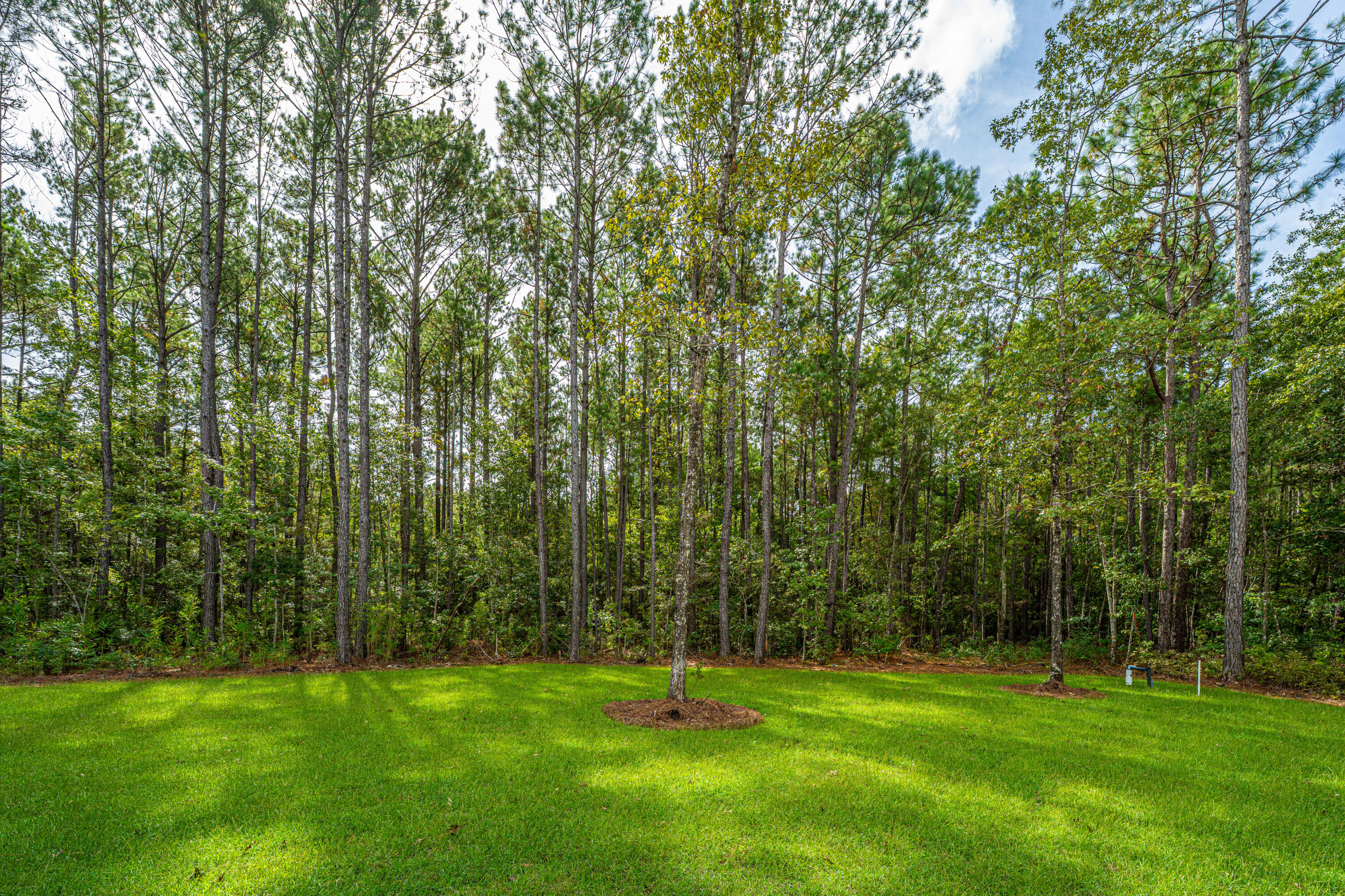 3011 Sweetwater Lane Awendaw, SC 29429 - Photo 52 of 54 3011SweetwaterLn056