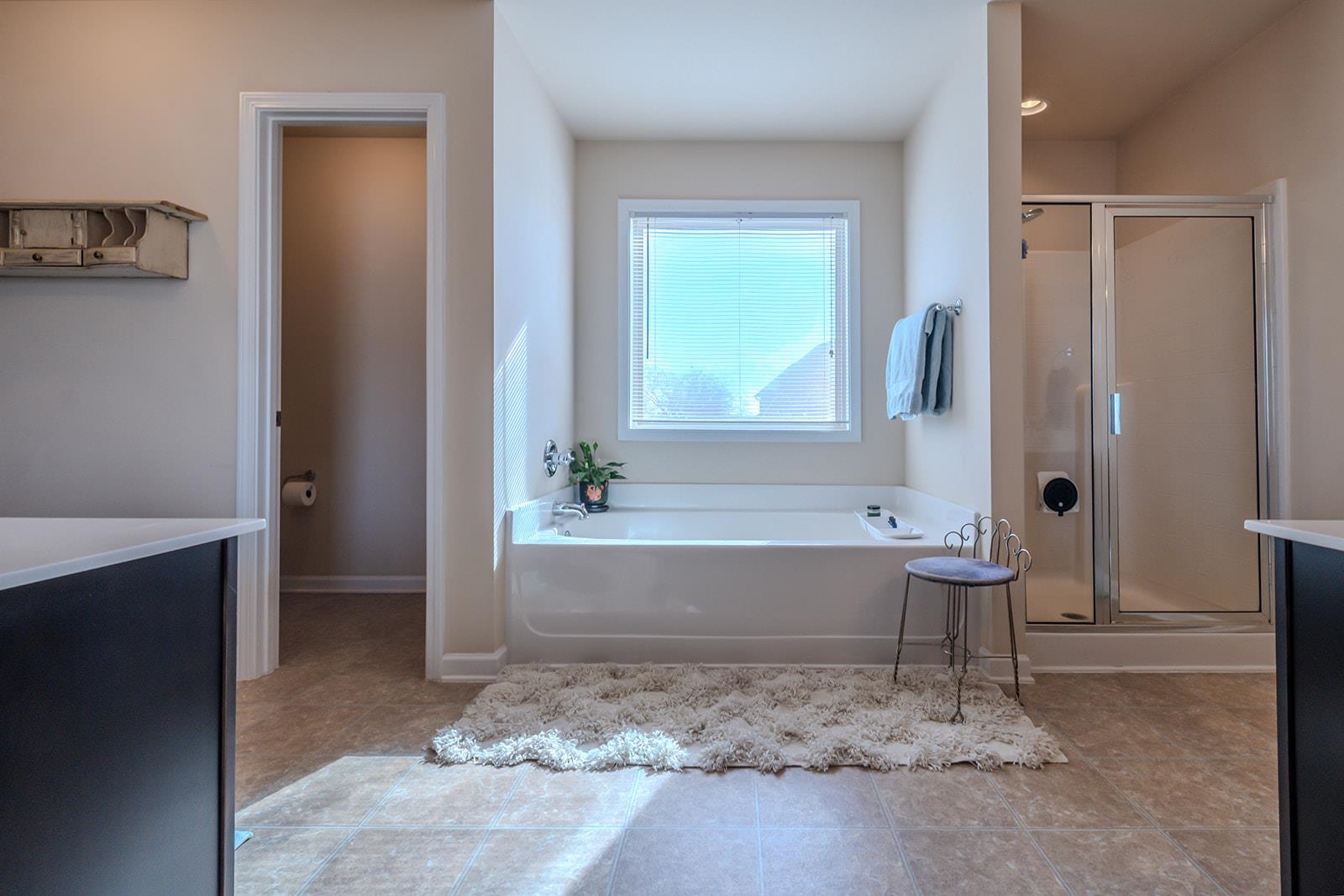 307 Deer Chase Drive Duncan, SC 29334 - Photo 34 of 49