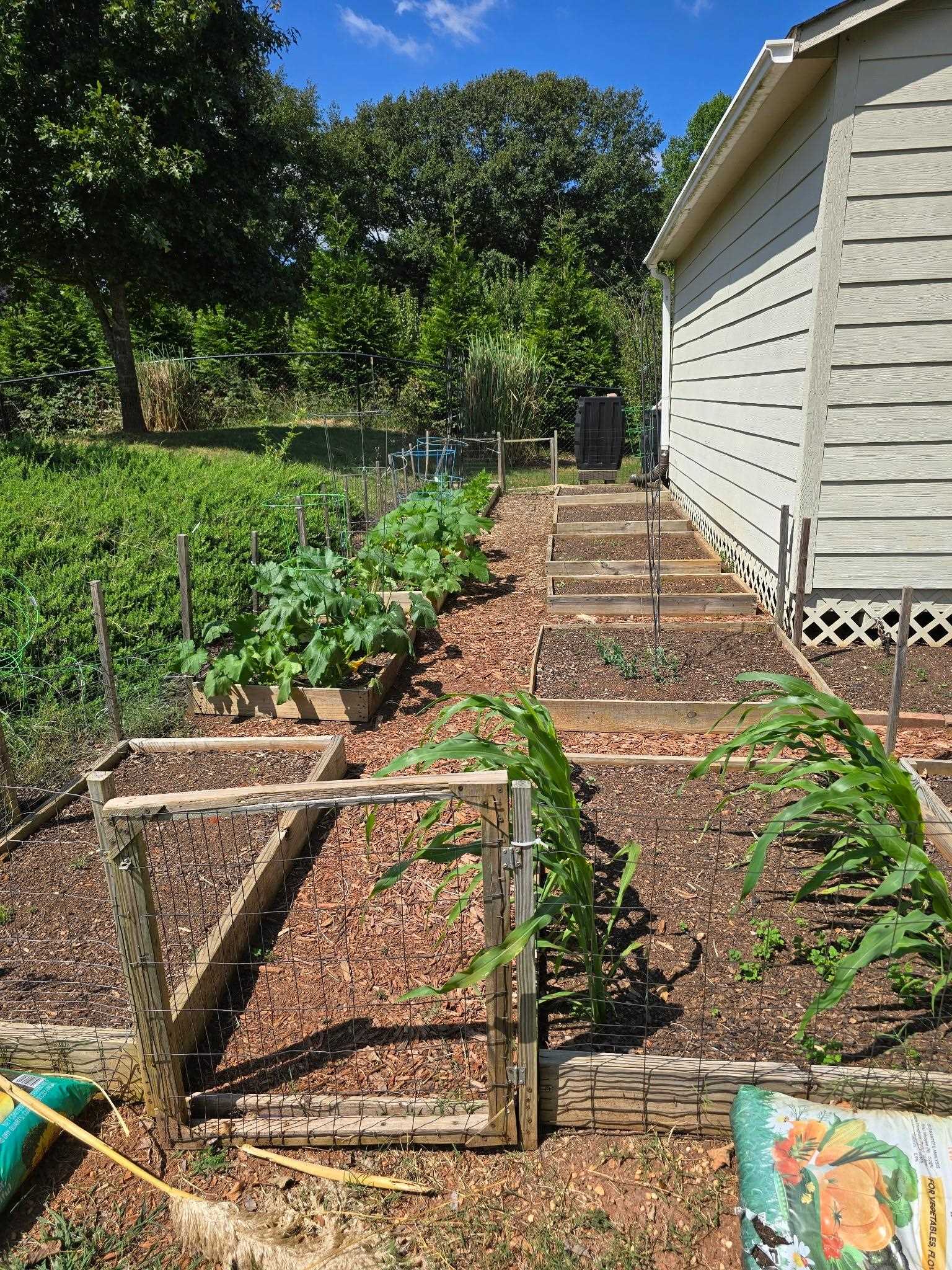 307 Deer Chase Drive Duncan, SC 29334 - Photo 47 of 49