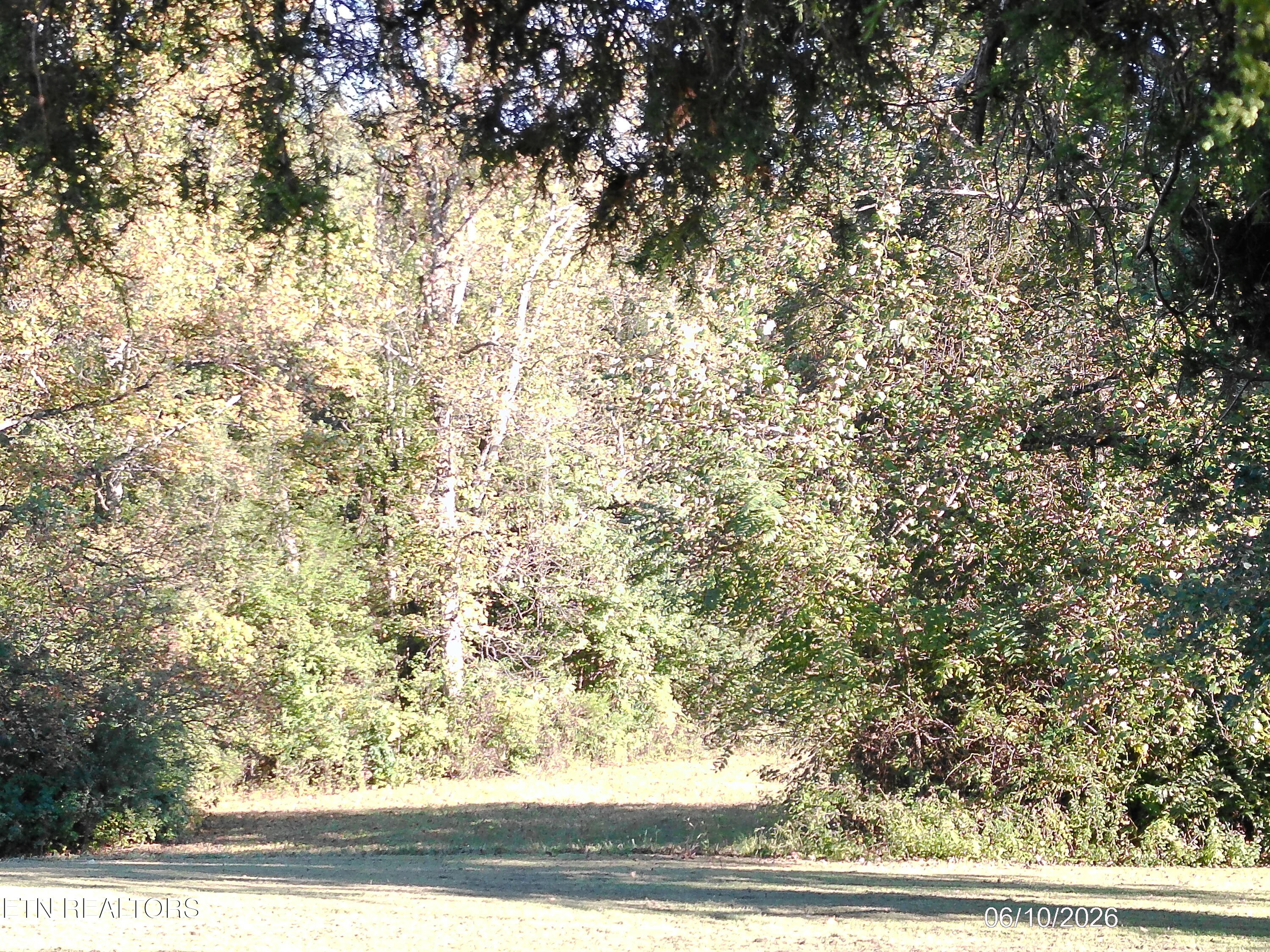 Ridge Road Maryville, TN 37803 - Photo 8 of 9 DSCF0037