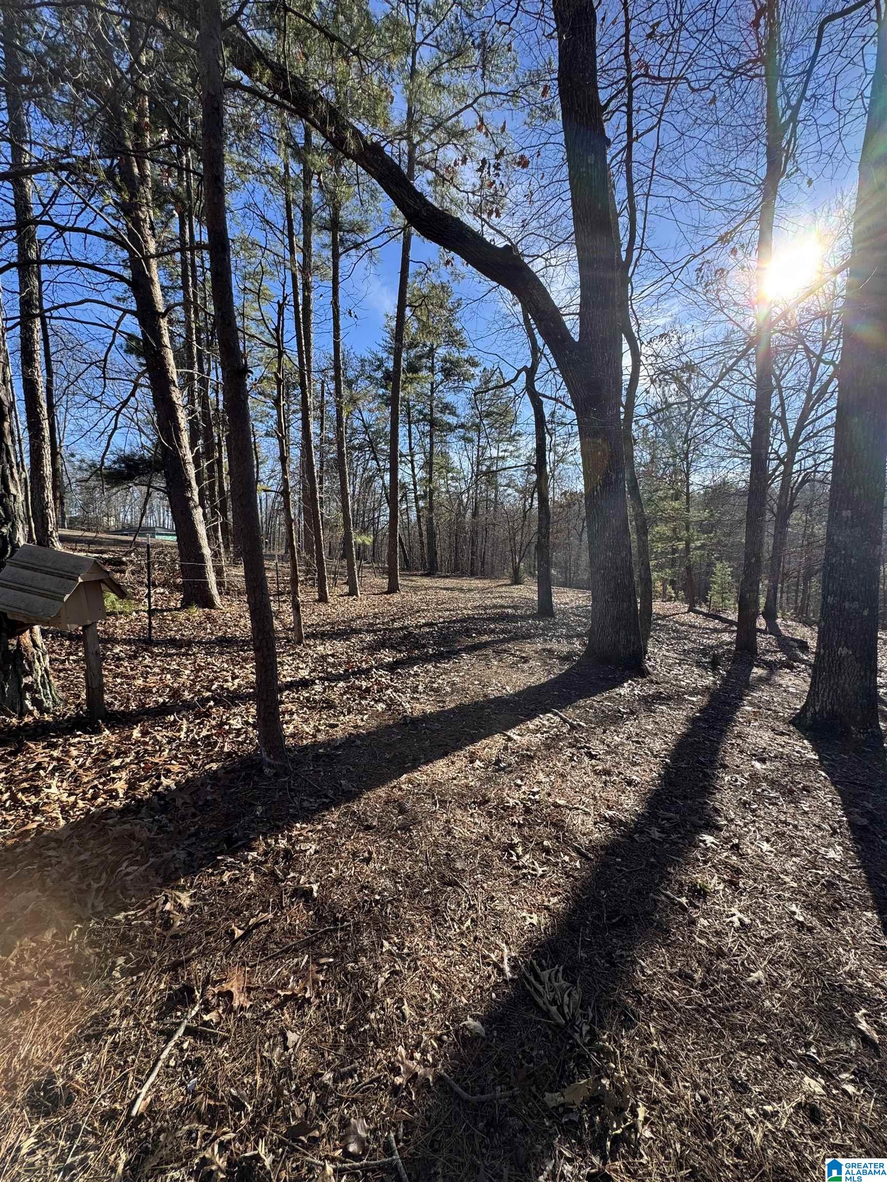 2570 Mt View Road, Unit 13251 Hayden, AL 35079 - Photo 6 of 13