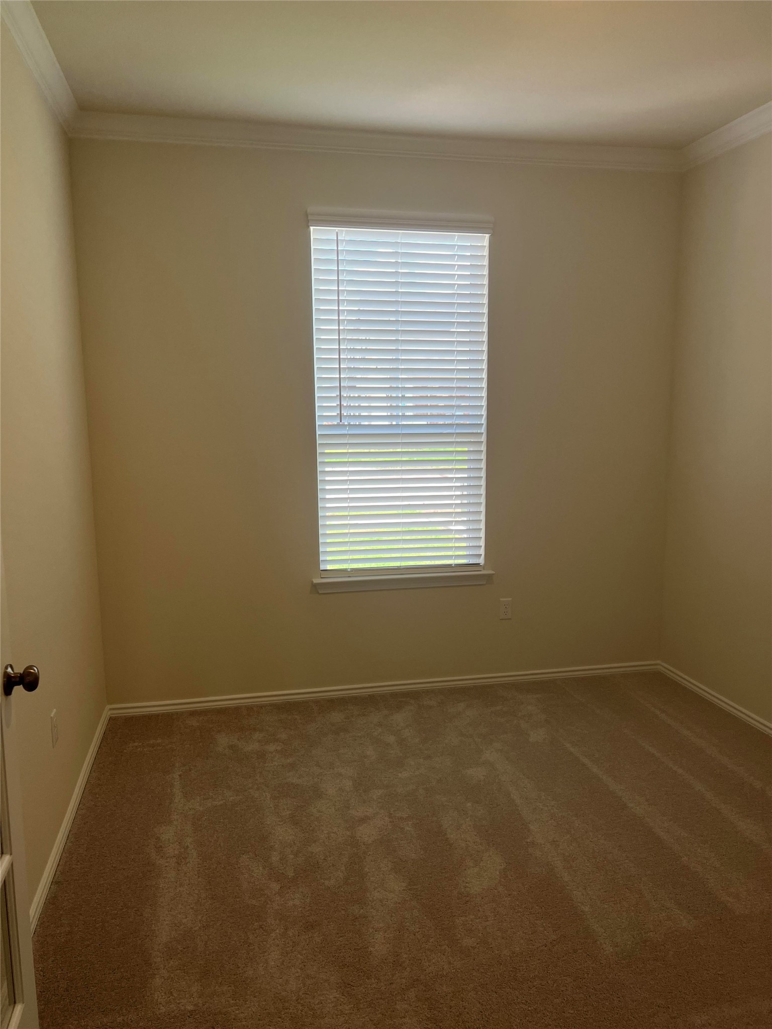 427 Tree Nut Loop Buda, TX 78610 - Photo 26 of 38 an empty room with a window