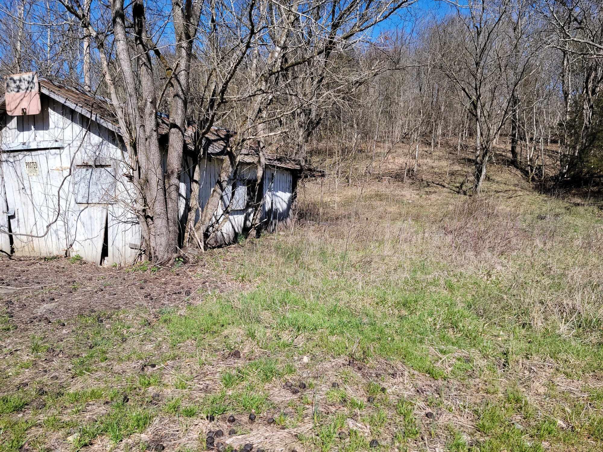 0 Pinhook Road Mount Olivet, KY 41064 - Photo 12 of 14 Gallery Image 12