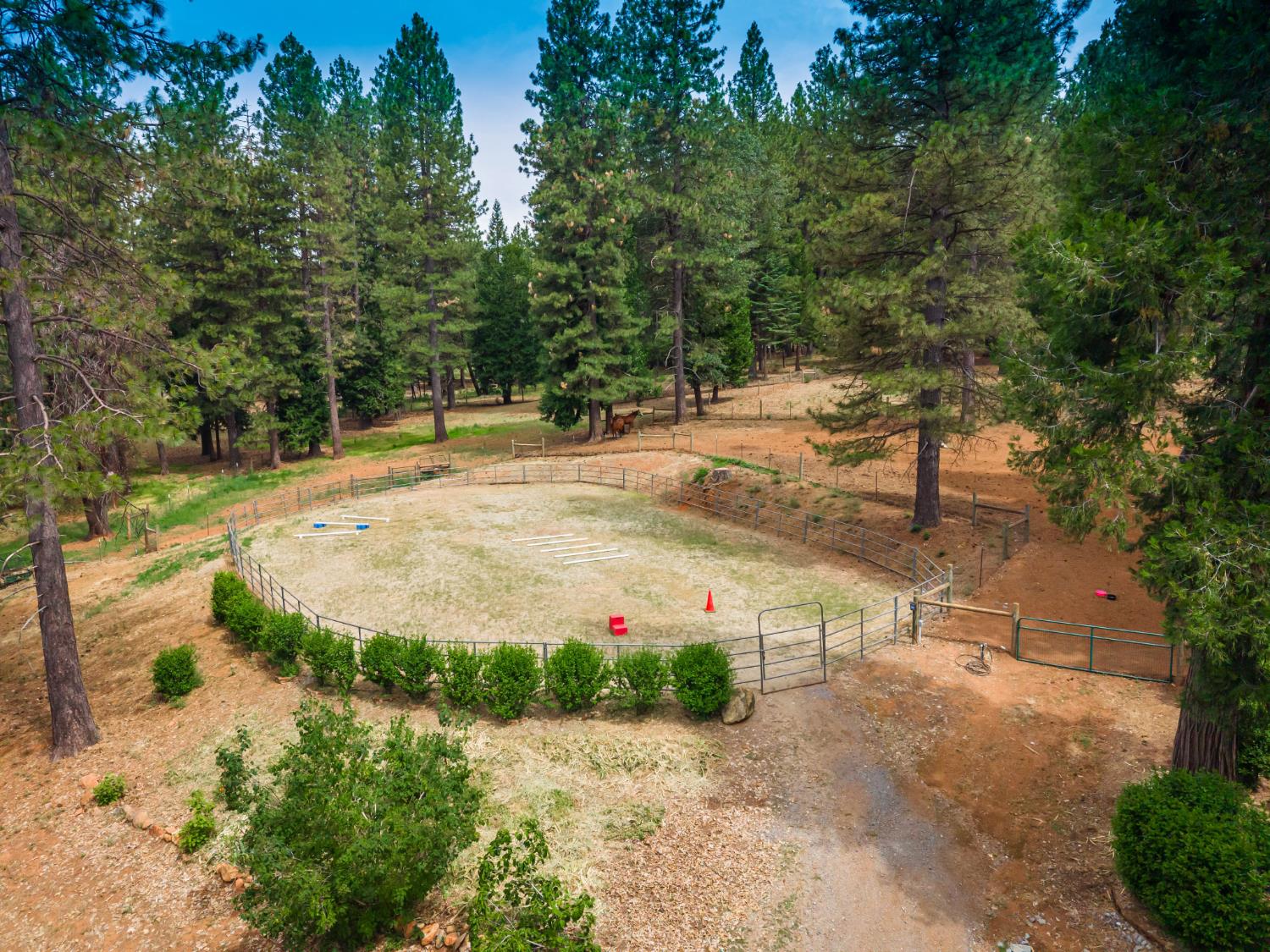 29070 Ridge View Road Foresthill, CA 95631 - Photo 64 of 66