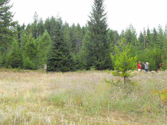 935 Balcom Road Newport, WA 99156 - Photo 3 of 10 Gallery Image 3